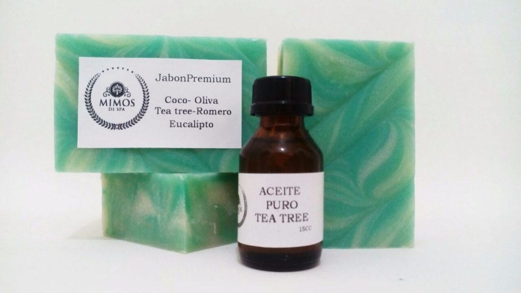 Árbol del Te Árbol del Te