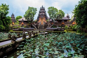 Que hacer y ver en Ubud en 3 días